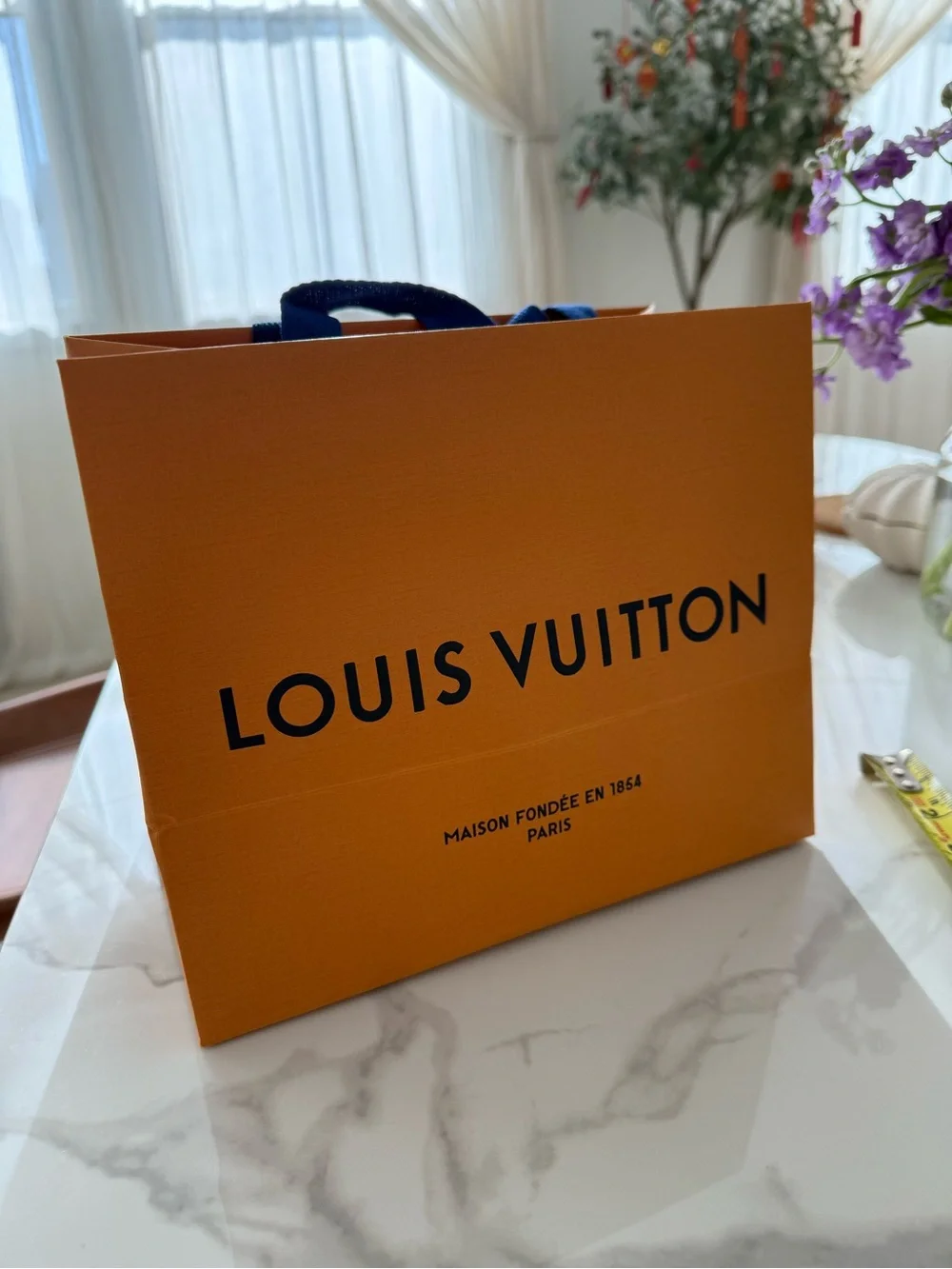 Louis Vuitton Medium Size Reusable Shopping Bag